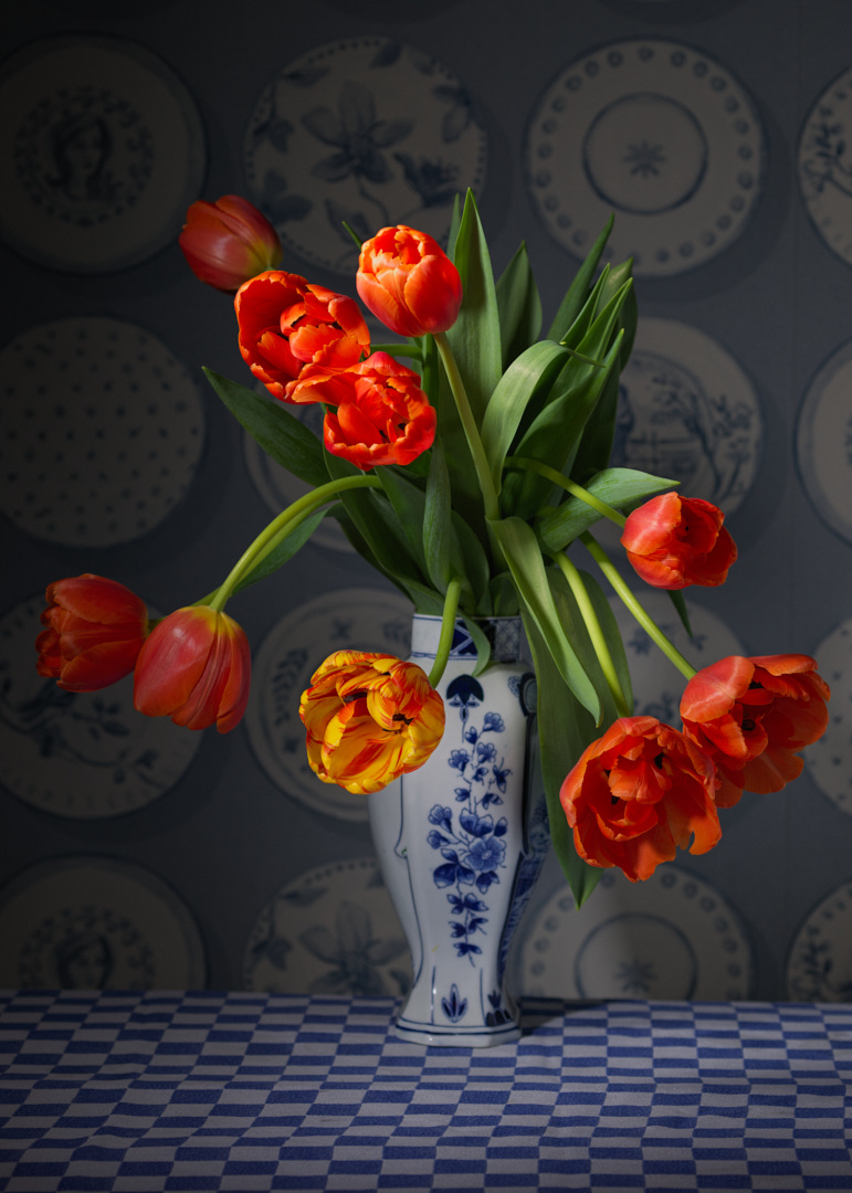Stilleven Tulp